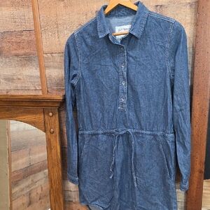 Girl Krazy Classic Denim Dress